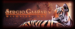 Pinturas de Sergio Gaspar