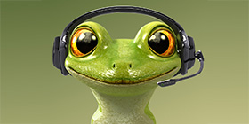 Anura