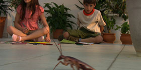 Cucaracha
