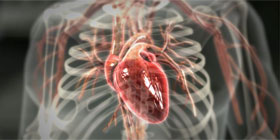Corazon